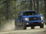 Ford F-150 FX4 2008 года
